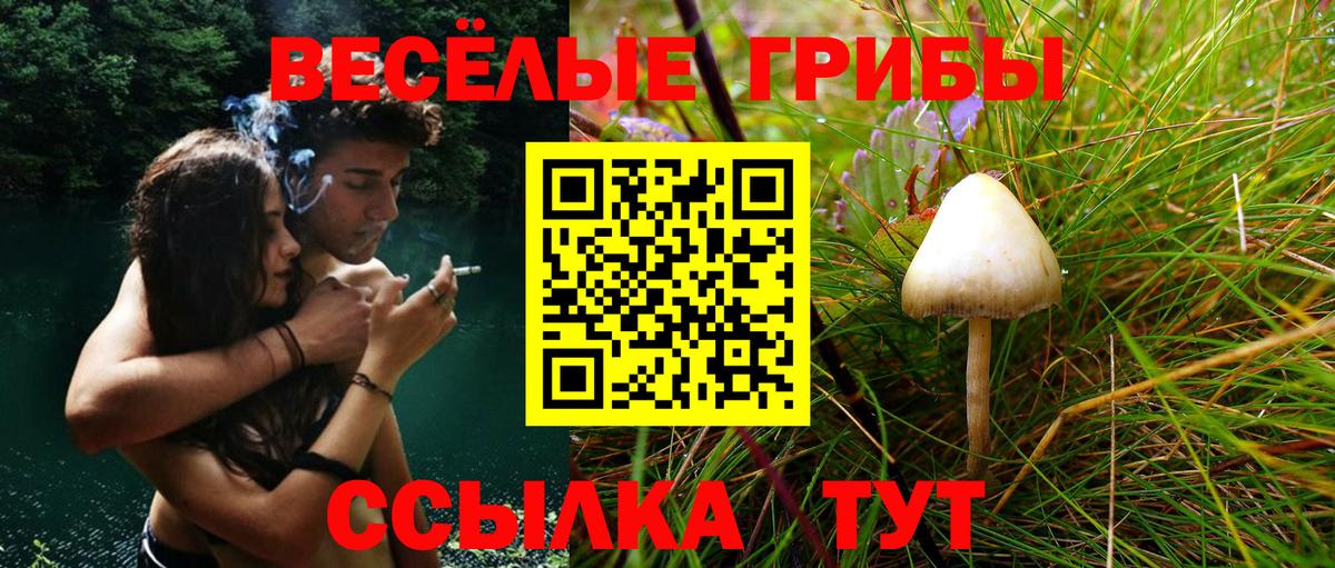 Галлюциногенные грибы ЛСД  Галлюциногенные грибы GOLDEN TEACHER  Вход с VPN  Электросталь 